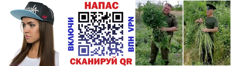 Магазины продажи наркотиков Усть-Лабинск ГАШИШ Канабис Меф
