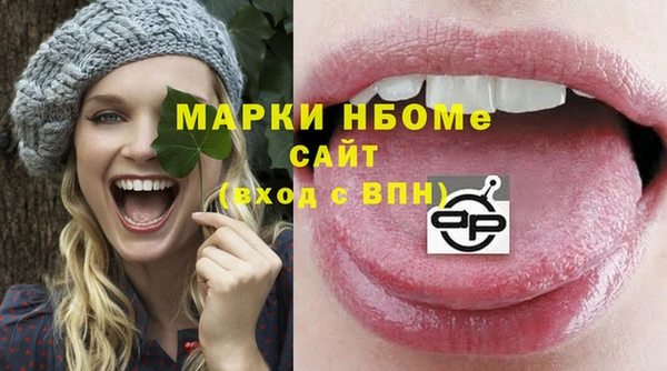 шишки Алексин