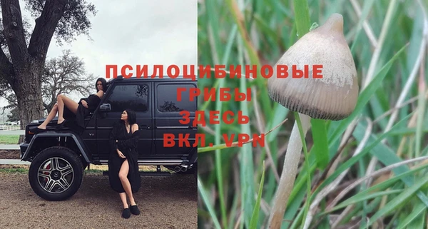 спиды Армянск