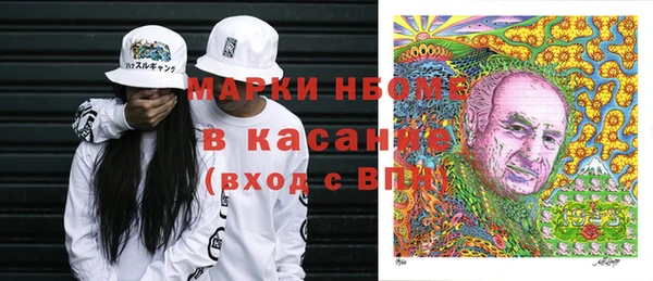 шишки Алексин