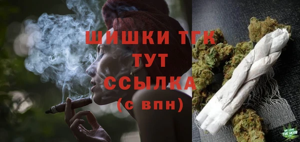 шишки Алексин