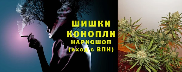 шишки Алексин